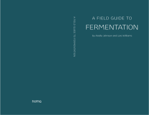 Noma fermenting