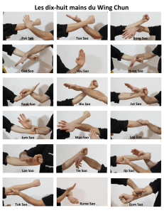 les 18 mains du Wing Chun-1