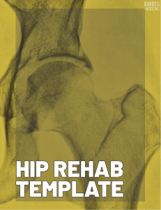 Hip Rehab Instructions