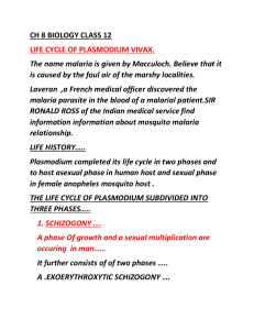 ch 8 BIOLOGY CLASS 12 plasmodium life cycle