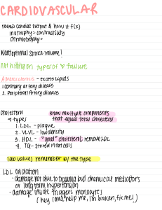 Cardiovascular Class Notes