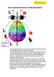 Sperry-Split-Brain-Research