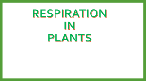 10. Respiration in Plants