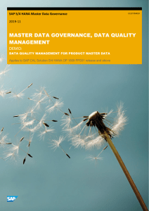 MDG Data Quality Management for Product Data