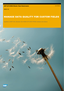 MDG Manage Data Quality for Custom Fields