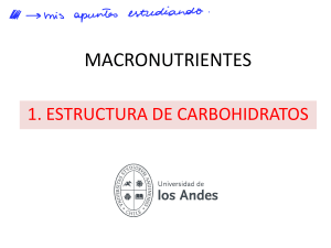 9.+Estructura+carbohidratos