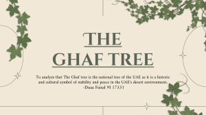 ghaff tree (msc project)
