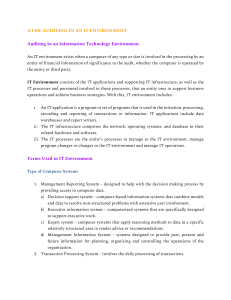 AUDITING IN AN IT ENVIRONMENT