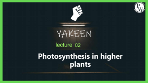 Photosynthesis in Higher Plants 02   Classnotes - photosynthesis in higher plants - 02 compressed