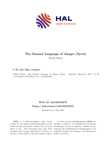 The Domari Language of Aleppo author