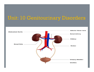 Unit 10A - E - Genitourinary Disorders