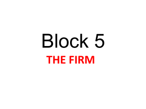 Block (5) Introducing supply decesions  Chapter 6