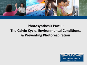 02 Photosynthesis Calvin Cycle Light Independent Reactions
