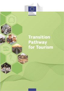 Transition Pathway for Tourism Report