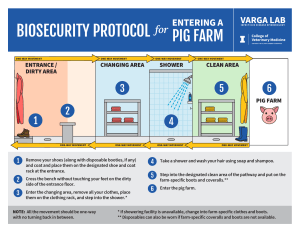 biosecurity-protocol-for-entering-a-pig-farm