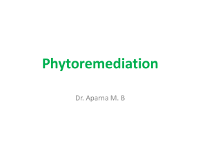 Phytoremediation Dr. Aparna M. B