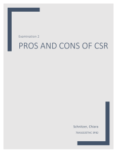 Pros and Cons of CSR_Schnitzer