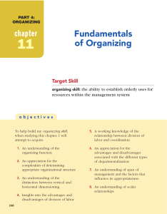 Chapter 7 Fundamentals of Organizing