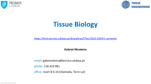 Classes Cell Tissue Biology 23 24
