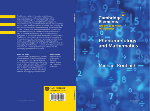 phenomenology-and-mathematics Michaeel Roubach