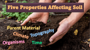 Soil Formation Properties
