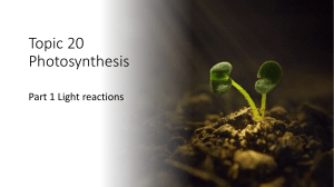 Topic 20 Lecture Slides Photosynthesis Part 1