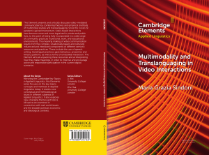 multimodality-and-translanguaging-in-video-interactions
