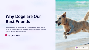 Why-Dogs-are-Our-Best-Friends