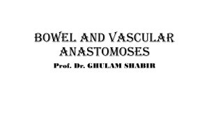 anastomoses
