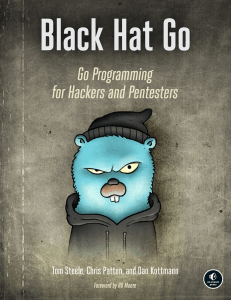 Black Hat Go: Programming for Hackers & Pentesters