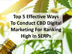 Top 5 Effective Ways To Conduct CBD Digital Marketing For Ranking High In SERPs
