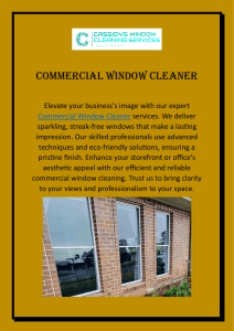 Commercial Window Cleaner.2