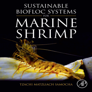 Sustainable biofloc systems for marine shrimp by Samocha, Tzachi Matzliach (z-lib.org)