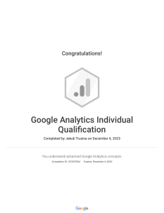 Google Analytics Individual Qualification   Google