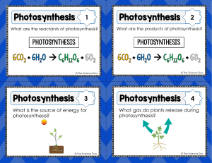 Photosynthesis Task Cards