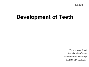 Development of teeth