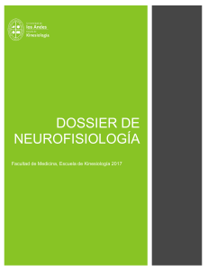 Neurociencias EXPO 2Neurofisiologia