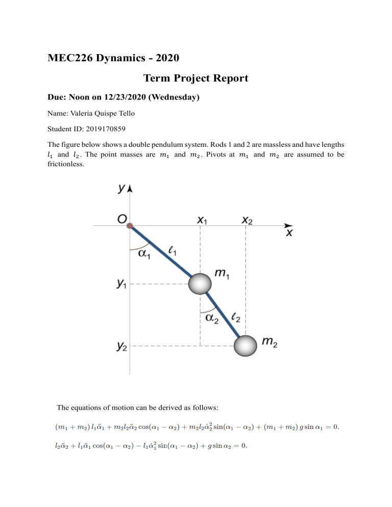 Term Project Report