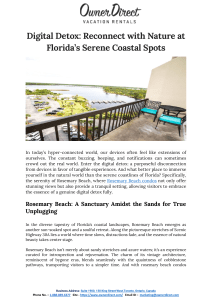 Digital Detox - Reconnect with Nature at Florida’s Serene Coastal Spots