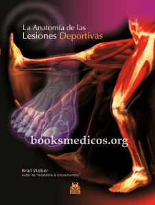 La Anatomia De Las Lesiones Deportivas