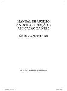 manual nr10