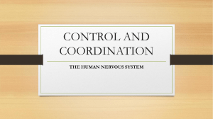 CONTROL AND COORDINATION
