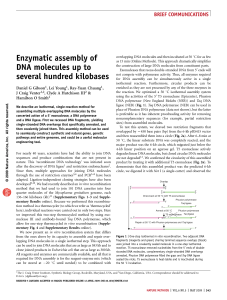 Enzymatic assembly of DNA molecules up to several hundred kilobases