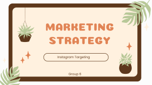 Marketing Strategy- Instagram Targeting Example