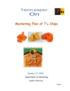 Term paper On Marketing Plan of PK Chips (2)