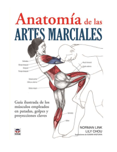 Anatomia de las Artes Marciales