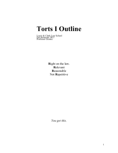 Law School Torts Outline