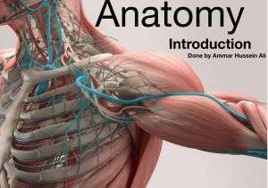 Introduction. Anatomy parts 1pdf page 1