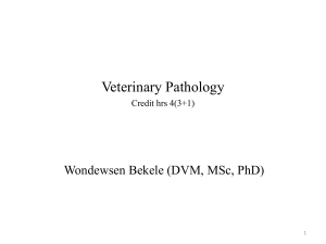 Vet Pathology ch5-7