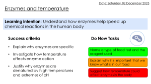 L8 Enzymes and temperature